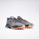 Кроссовки Reebok ALL TERRAIN CRAZE W (Изображение 1)