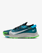Кроссовки Nike Pegasus Trail 2