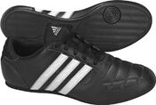 Кроссовки Adidas NEW TAEKWONDO