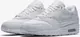 Кроссовки Nike Wmns Air Max (Изображение 1)