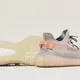 Кроссовки ADIDAS YEEZY BOOST 350 V2 TRUE FORM (Изображение 3)