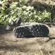 Сандалии Adidas TERREX HYDROTERRA (Black) (Изображение 10)