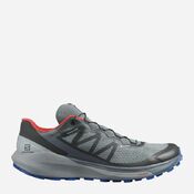 Кроссовки Salomon Sense Ride 4 GTX