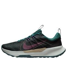 Кроссовки Nike Juniper Trail 2