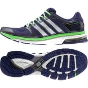 Кроссовки Adidas Adistar Boost Esm