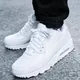 Кроссовки NIKE AIR MAX 90 ESSENTIAL (Изображение 6)