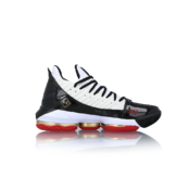 Кроссовки Nike LEBRON 16 SB REMIX