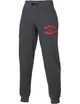 Asics Graphic Brushed Cuffed Pant -XL (Изображение 1)