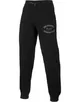 Asics Graphic Brushed Cuffed Pant -L,XL (Изображение 1)