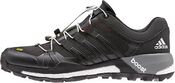 Кроссовки Adidas TERREX SKYCHASER GT B22848